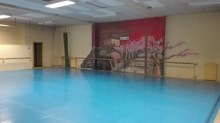 Yaiba Bujinkan Grenoble — arts martiaux-studio à Secteur 3, Grenoble — 2