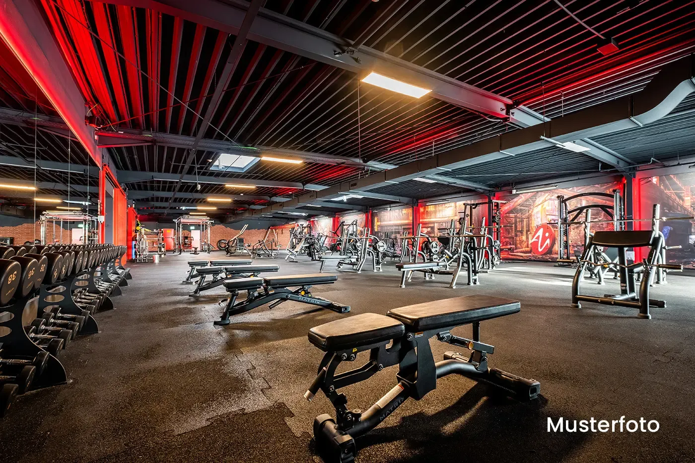 Fit Star — pt-studio in München — 3