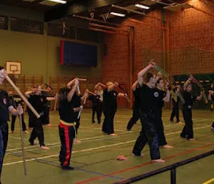 Copenhagen Wuzuquan Academy — kampsport-studio i Tårnby, København — 2