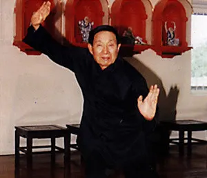 Copenhagen Wuzuquan Academy — kampsport-studio i Tårnby, København — 3