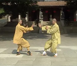 Copenhagen Wuzuquan Academy — martial arts-studio i Tårnbylund, Tårnby