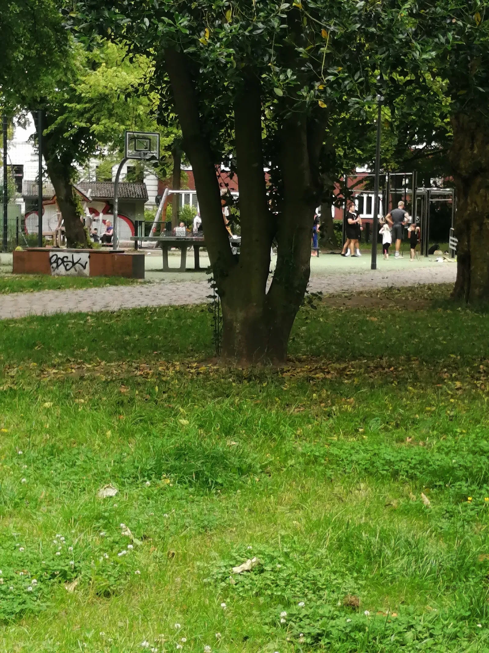 Calisthenics Park — calisthenics-studio in Hamburg — 5