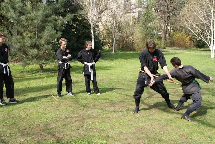 Bujinkan Wakagi Dojo Fürth — kampfsport-studio in Fürth — 4