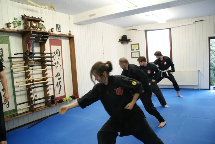 Bujinkan Wakagi Dojo Fürth — kampfsport-studio in Fürth — 5