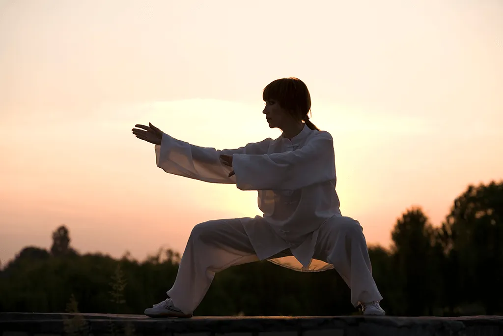 asia-sport Akademie Bramsche — kampfsport-studio in Bramsche — 3