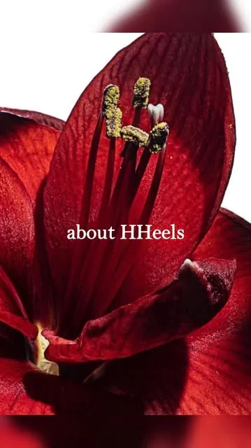 HHeels — dans-studio i Hamburg — 2