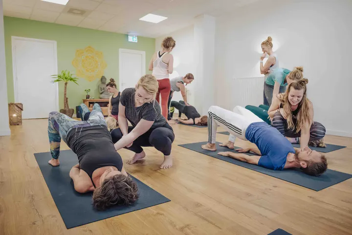 Dutch Yoga Academy🧘 — Yoga in Nijmegen-Oost, Nijmegen