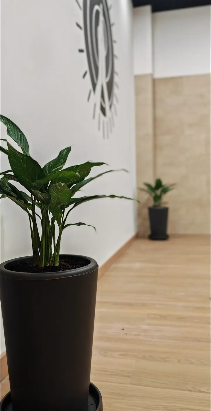 Yoga Espacio — yoga-studio en Castellón de la Plana — 3