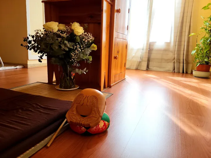 Centro Zen Abhirati — meditación-studio en la Petxina, Valencia — 3