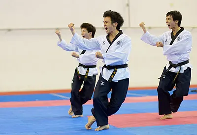 Taekwondo Club de la Plaine d'Aunis — arts martiaux-studio à Papineaux du Levant, Surgères — 3