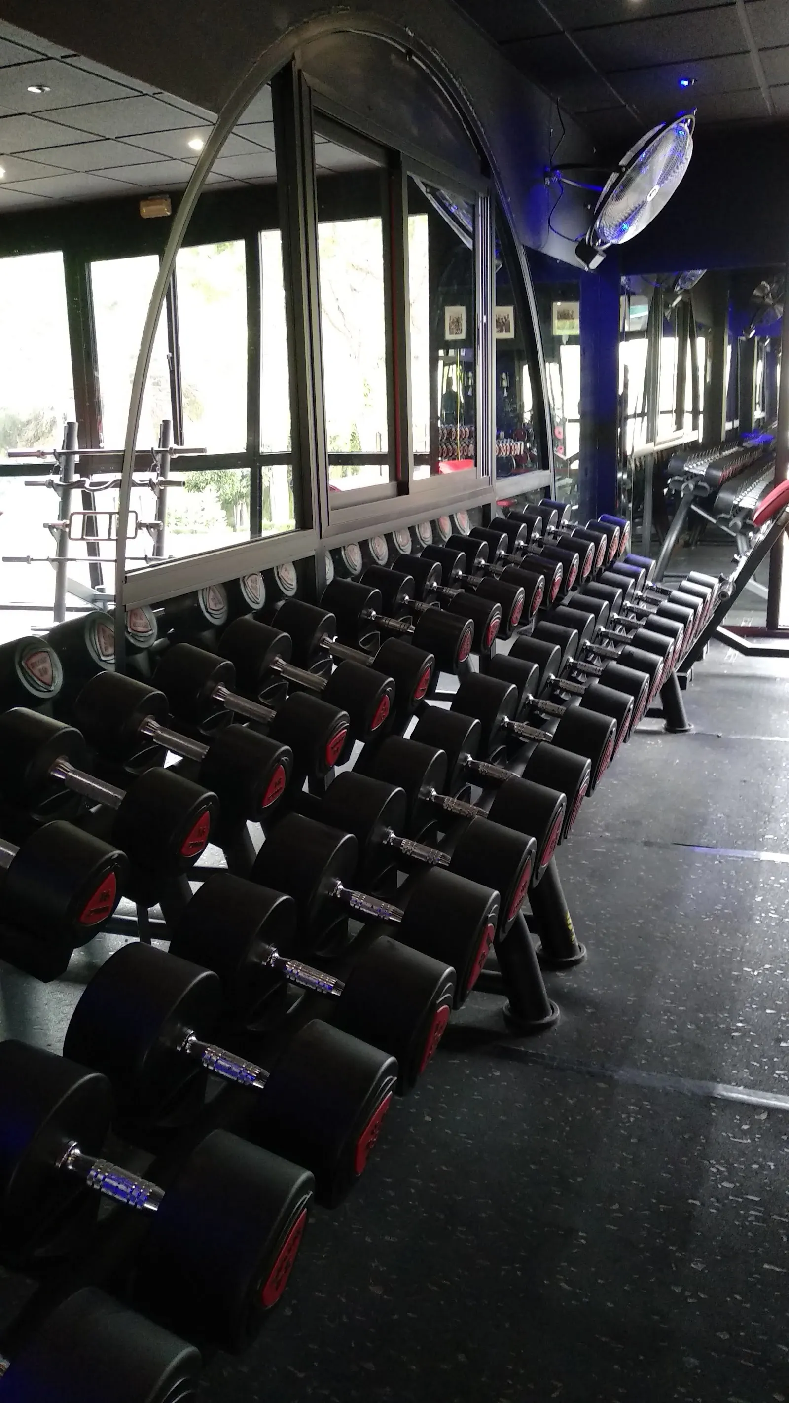 Alhamar Fitness Center — estudio de fitness-studio en La Cala — 2