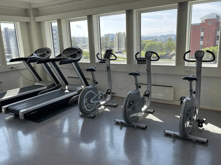 Rønvik Fysioterapi AS — pt-studio i Bodø — 5