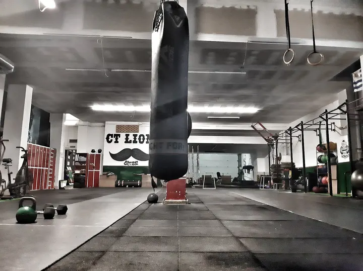 Crossteam Lions — CrossFit en San Pedro de Deusto-La Ribera, Bilbao