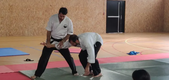 AIKIVUDAO SEIGAN — arts martiaux-studio à Marseille — 3