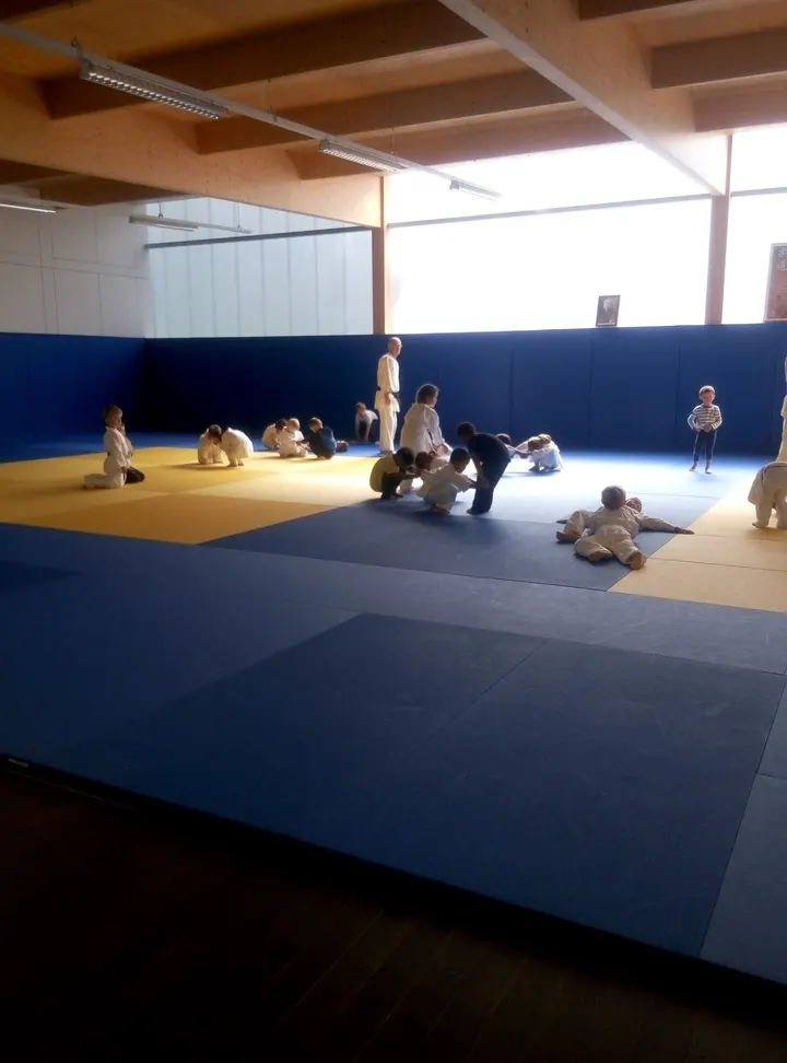 IVAI — Arts martiaux à Villeneuve-d'Ascq