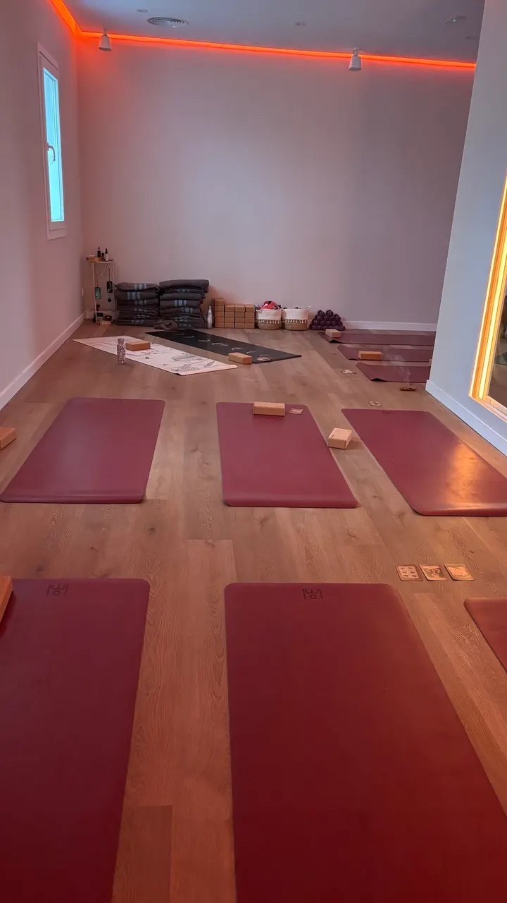 POWER VINYASA YOGA STUDIO BY RAQUEL FEBRER — yoga-studio en Madrid — 4