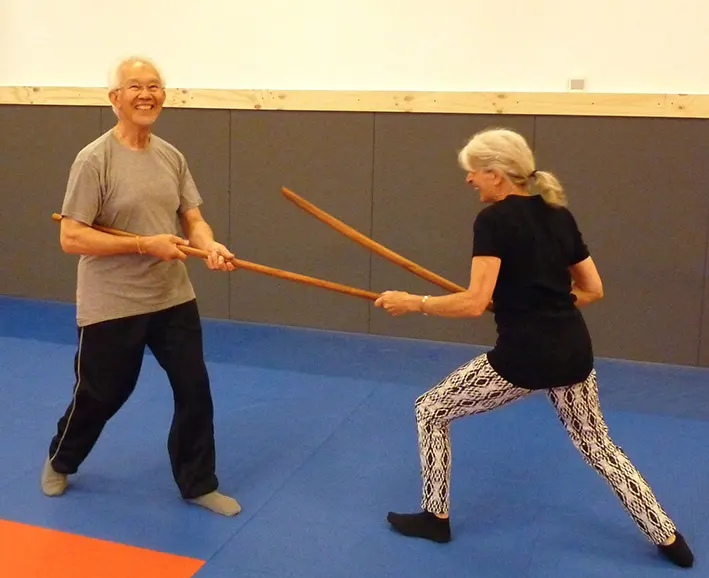 Saam aikido — vechtsport-studio in Goes — 4