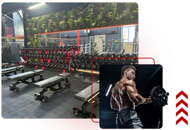 ALL IN FITNESS Sierentz — Salle de fitness à Hochkirch, Sierentz