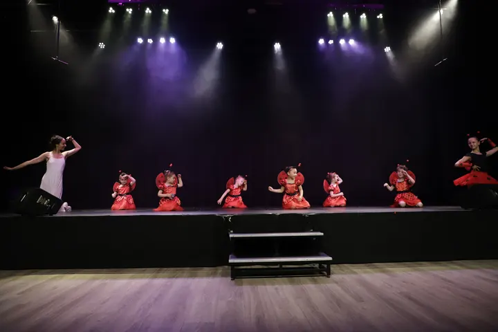 Elysium Ballet Academy — dans-studio in Amstelveen — 3
