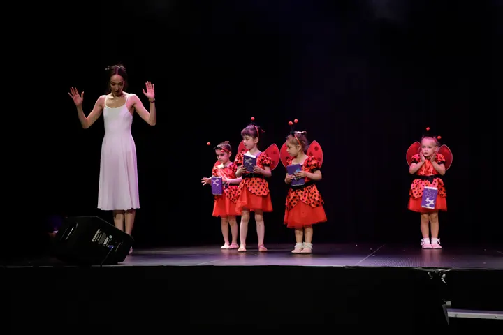 Elysium Ballet Academy — dans-studio in Amstelveen — 3