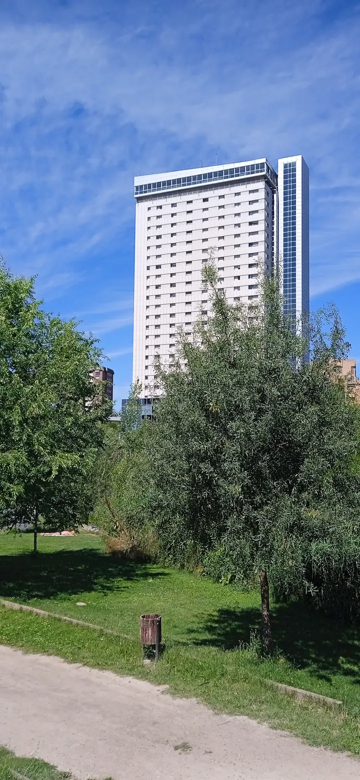 Parque de calistenia de las Moreras — calisthenics-studio en San Pablo - San Nicolás, Valladolid — 2
