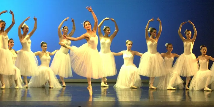 Ballettschule Marquardt — tanz-studio in Stadtmitte, Rostock — 2