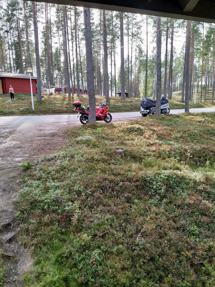 Kalevalan liikuntakeskuksen kuntosali — Fitnessstudio – Tönölä, Kuhmo