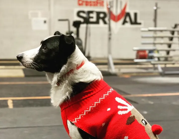 Crossfit Serval — crossfit-studio à Vitrolles, Marseille — 2