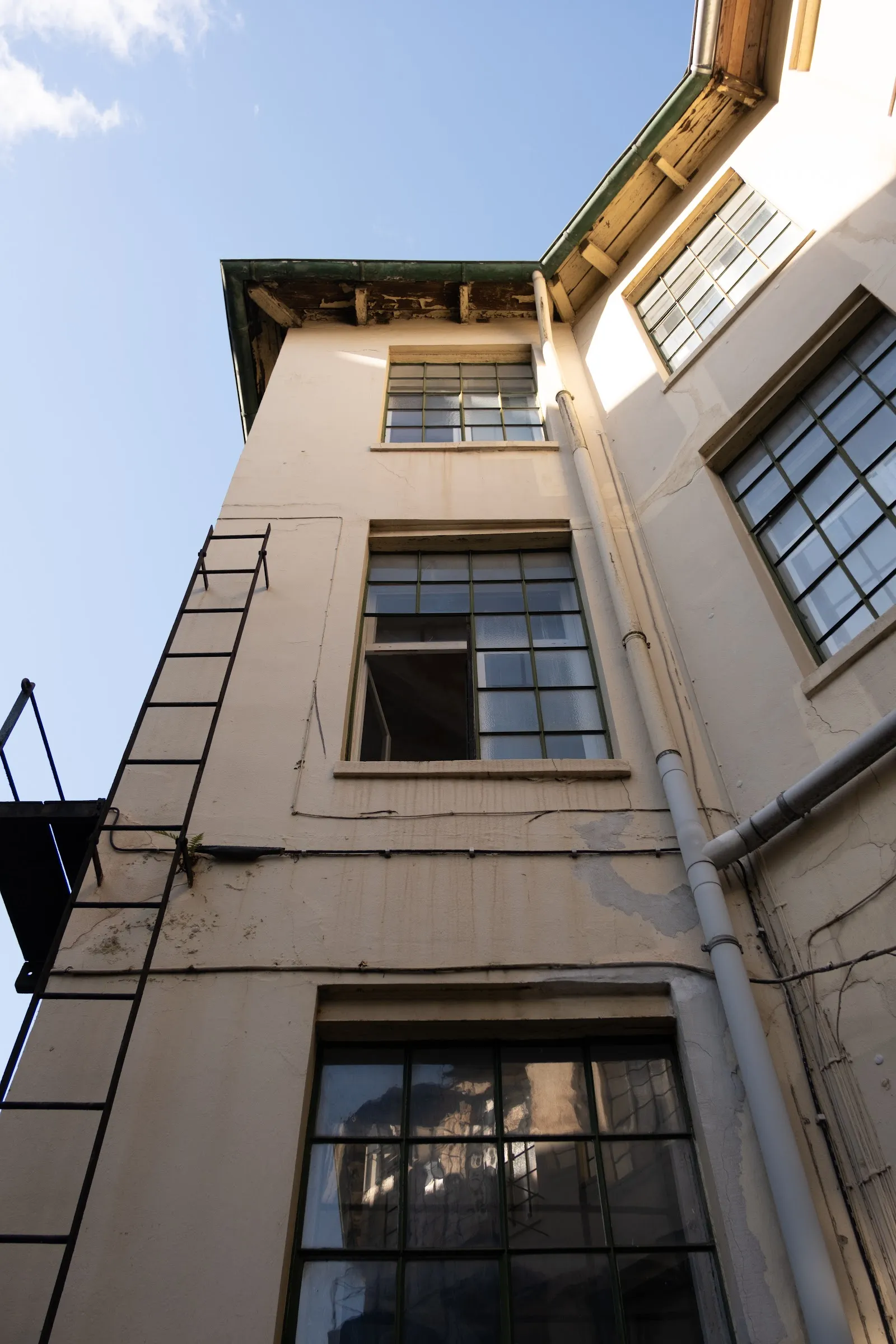 Well Williams — tanz-studio in Ottensen, Hamburg — 3