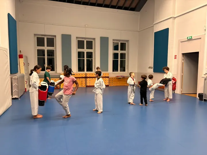 Taekwondo Presqu'île — Arts martiaux à Lyon 2e Arrondissement, Lyon