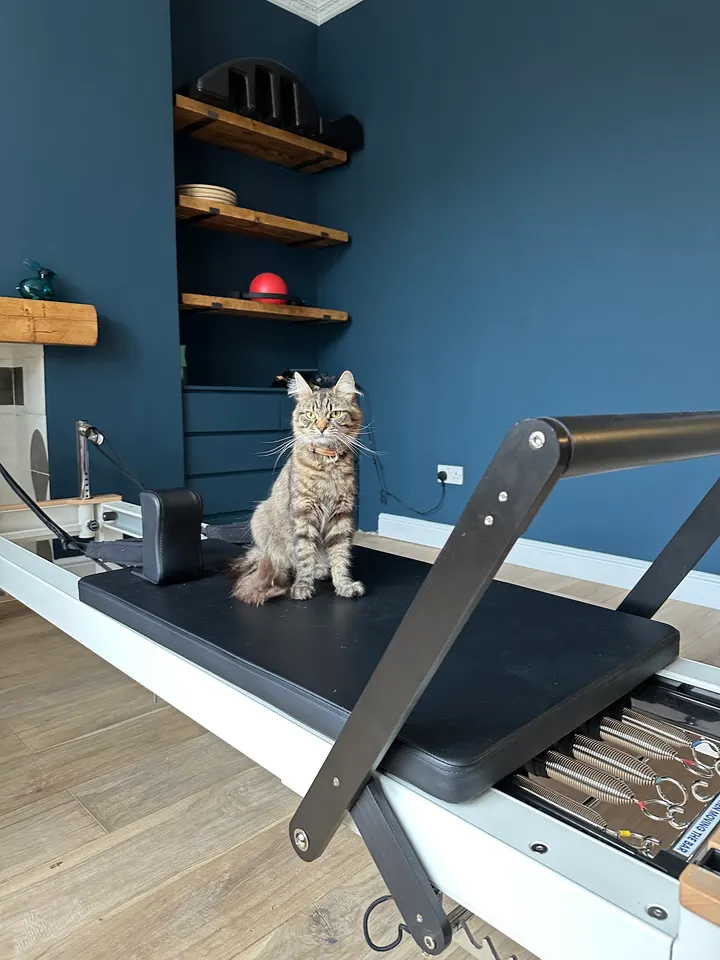 Highgate Pilates — pilates-studio in Archway, London — 3