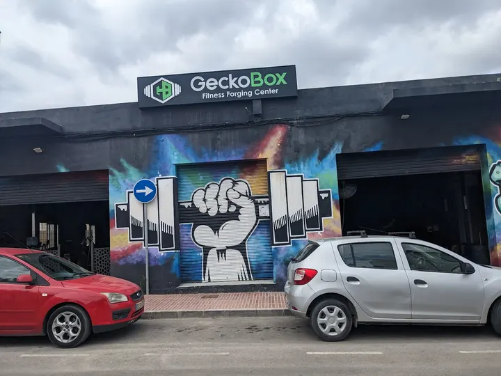 Gecko Box — crossfit-studio en Polígon industrial de can Negre — 2