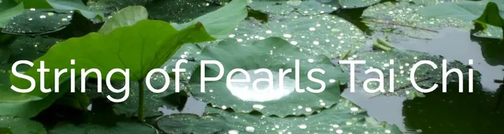 String of Pearls Tai Chi, Belgrave Neighbourhood Centre. — Martial Arts in Latimer, Leicester