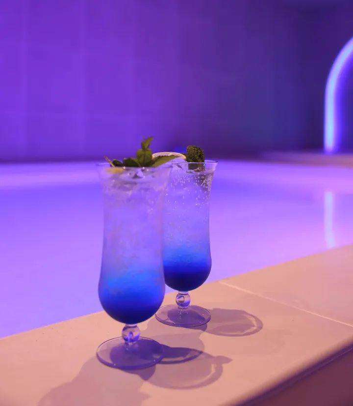 Spa Nima prive sauna Rotterdam — herstel-studio in Pernis — 3