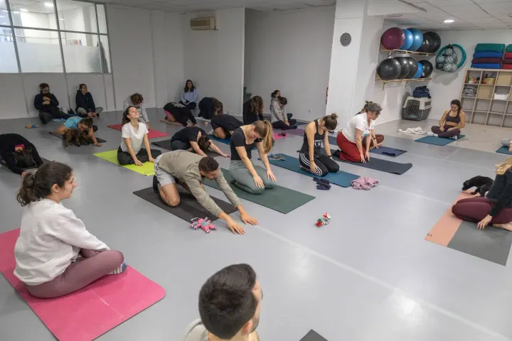 Momento Yoga Studio — Yoga em Lisboa