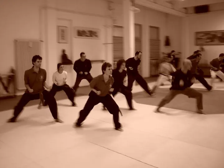 Phönix Akademie für Kampfkunst und Heilkünste — kampfsport-studio in Frankfurt am Main — 6