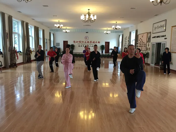 Phönix Akademie für Kampfkunst und Heilkünste — Kampfsport in Hausen, Frankfurt am Main