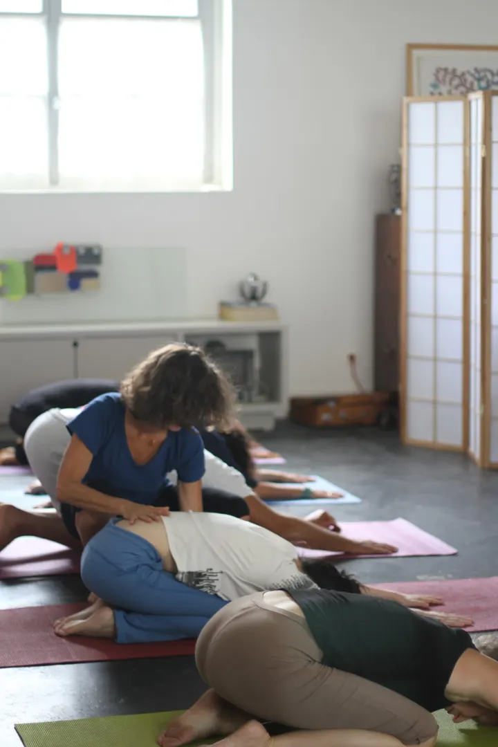 Yoga Terra — Yoga à Bas-Montreuil - République, Montreuil