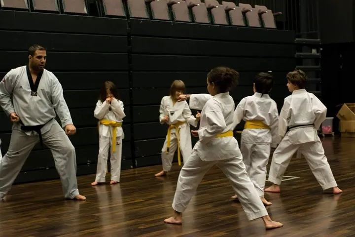 Flash Taekwondo Academy — Martial Arts in Clermiston, Edinburgh