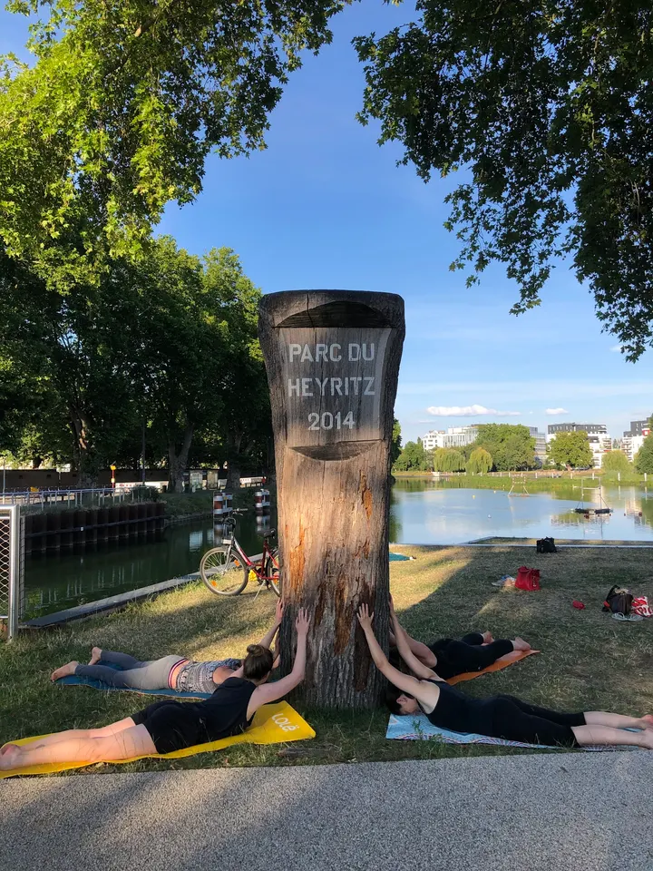 Yoga pour le dos Rue d'Altkirch — yoga-studio à Neudorf-Musau, Strasbourg — 3