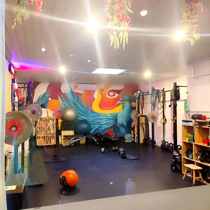 Phoenix Zone — salle de fitness-studio à Grasse — 3