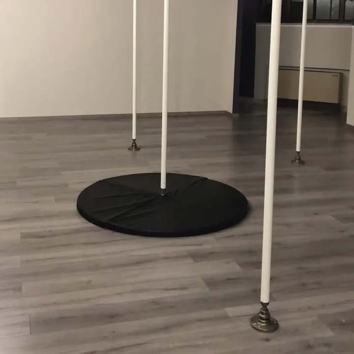 Queen Pole Dance ASD — pole dance-studio a Torino — 4