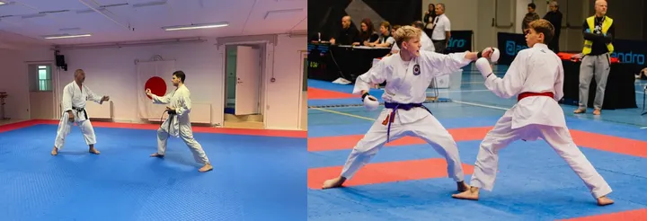 Tokugawa Karate Aarhus — martial arts-studio i Vejlby, Risskov