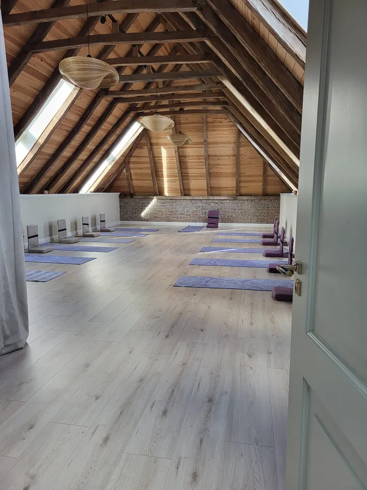 Ronaya Yoga — Yoga in Molenwijk, Zevenaar