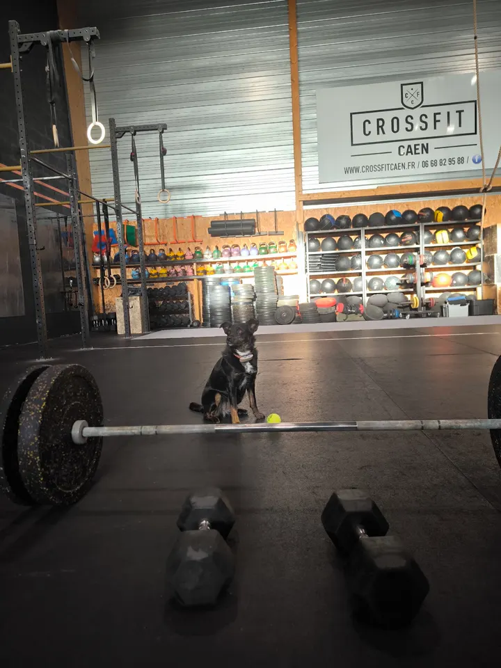 CrossFit Caen — entraînement fonctionnel-studio à Charlotte-Corday, Mondeville — 2