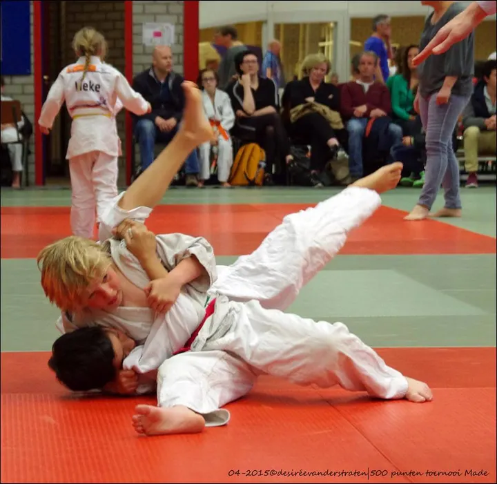 Bliemer Arashi Sport — Vechtsport in Dammenbuurt, Oosterhout