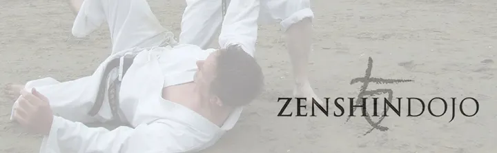 Zenshin Dojo — martial arts-studio in Bristol — 4