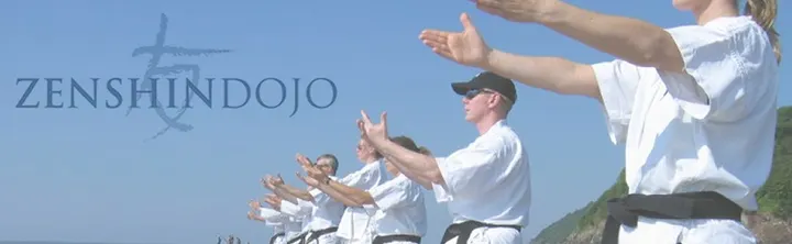 Zenshin Dojo — Martial Arts in Staple Hill and Mangotsfield, Bristol