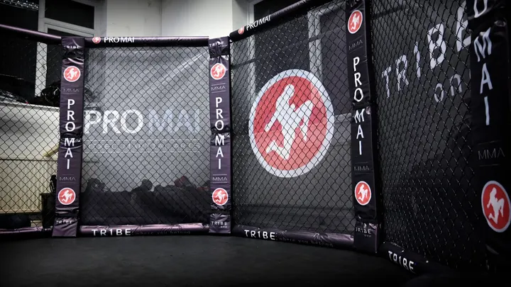PRO MAI MMA Academy — mma-studio in Feltham, London — 2