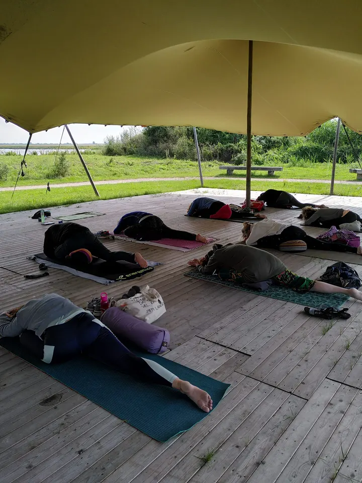 Landen in je Lichaam — yoga-studio in Almere Hout, Almere — 3